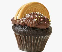 Your Basic Chocolate Cupcake